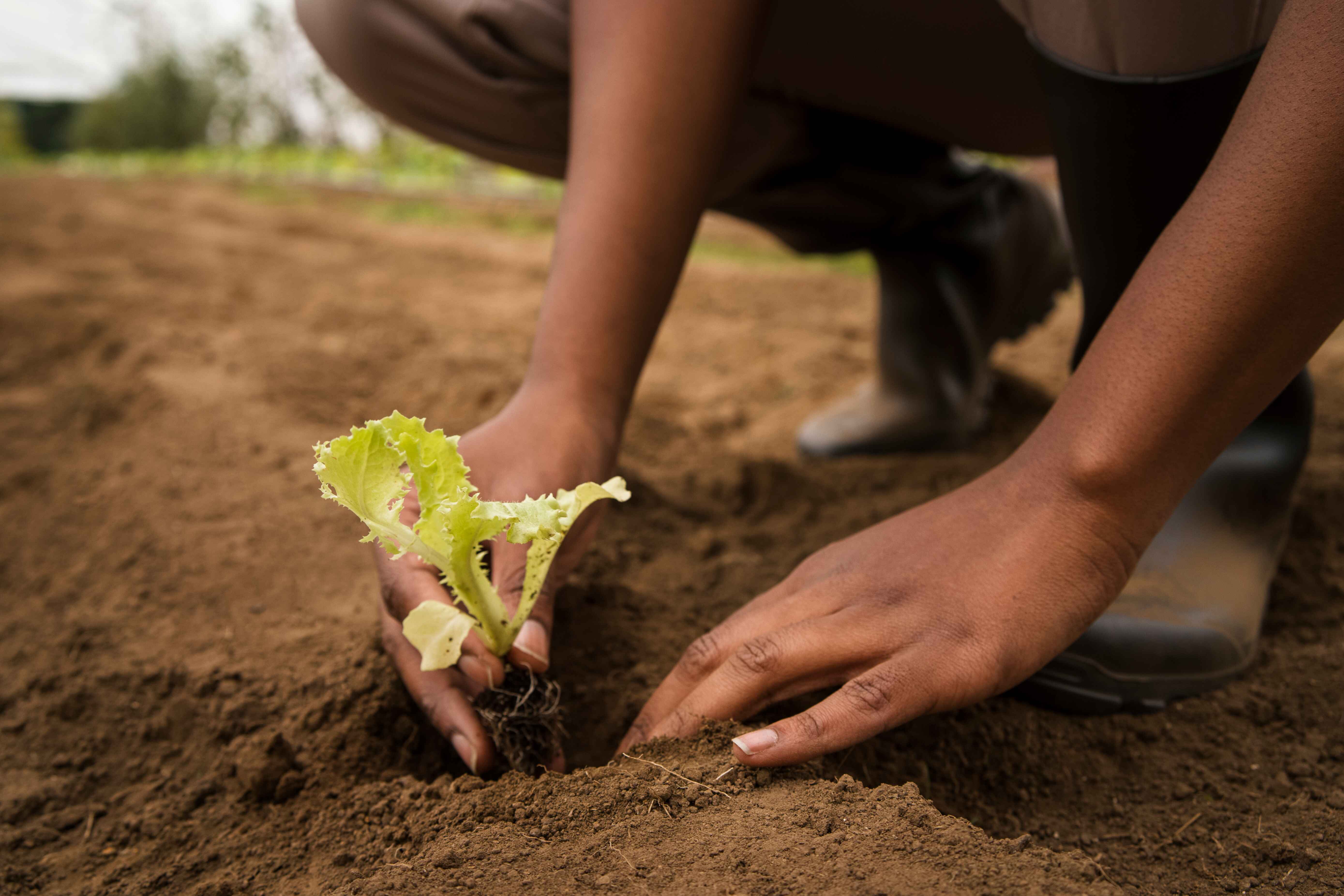 Developing Growth Methods