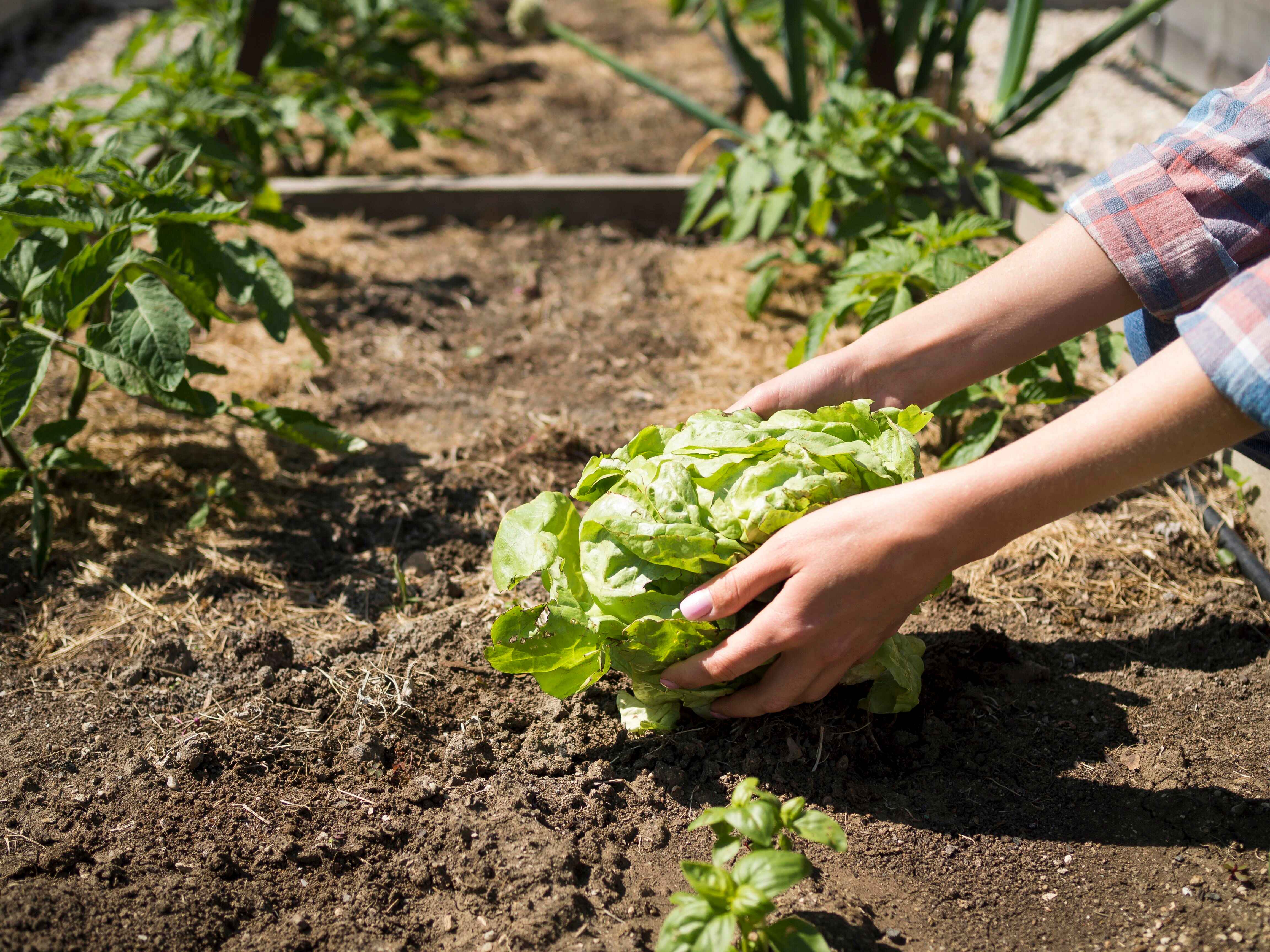 Promoting Sustainable Farming